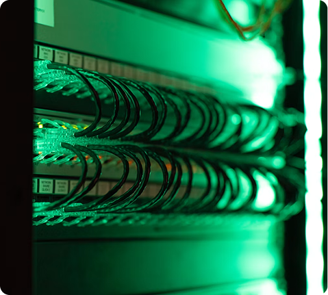 Close-up of illuminated green server cables